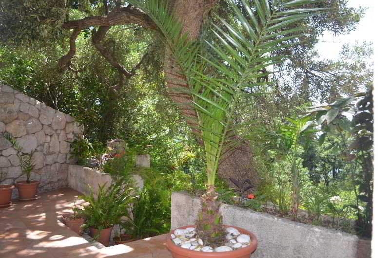 Apartments Martiva Dubrovnik Luaran gambar